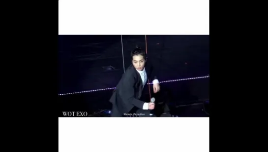 vine Xiumin (480p)