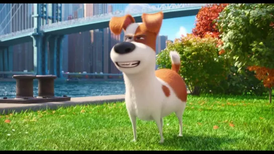 The Secret Life of Pets Trailer 2 Русский дублированный [720p]