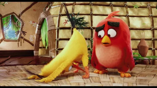 The Angry Birds Teaser Trailer Русский дублированный [720p]