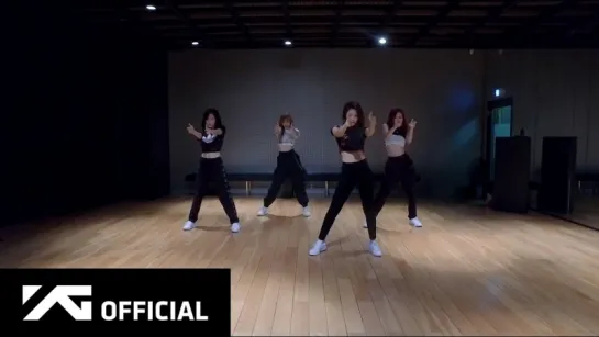 BlackPink - Ddu-Du Ddu-Du Dance Practice Video.