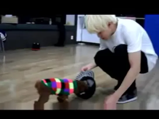 [SELFCAM] BEAST and their cute puppy