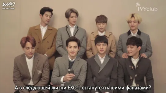 [WAO рус.саб] 151204 IVYclub - Интервью EXO