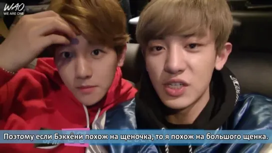 [WAO рус.саб] 150518 Вопрос-ответ с Чанёлем и Бэкхёном для "Baskin Robbins"/ Baskin Robbins Q&A with EXO Chanyeol and Baekhyun