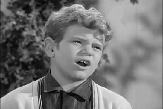 Шоу Энди Гриффита / The Andy Griffith Show, (1960–1968) сезон 3 серия 21  / s03e21-opie-and-the-spoiled-kid