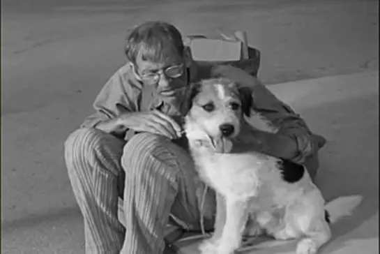 Шоу Энди Гриффита / The Andy Griffith Show, (1960–1968) сезон 3 серия 5  / s03e05-the-cow-thief