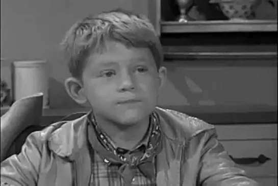 Шоу Энди Гриффита / The Andy Griffith Show, (1960–1968) сезон 3 серия 1  / s03e01-mr-mcbeevee