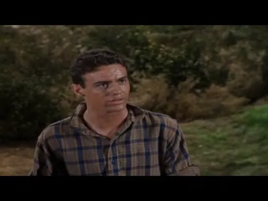 SERIE TV: BONANZA 3x15