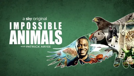 Невозможные животные 3 серия. Побережье / Impossible Animals: with Patrick Aryee (2021)