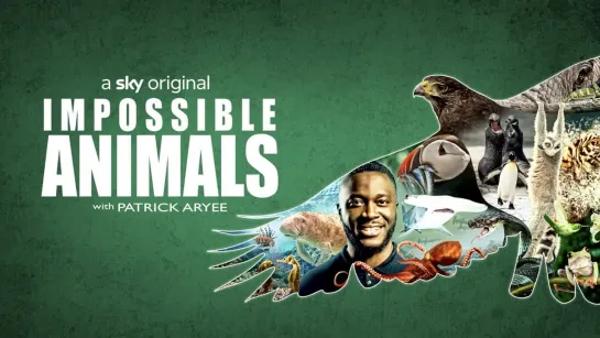 Невозможные животные 2 серия. Тропические леса / Impossible Animals: with Patrick Aryee (2021)