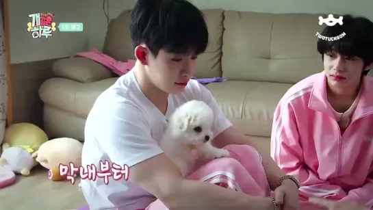 [VK][190714] MONSTA X preview Ep.3 @ Monsta X’s Puppy Day