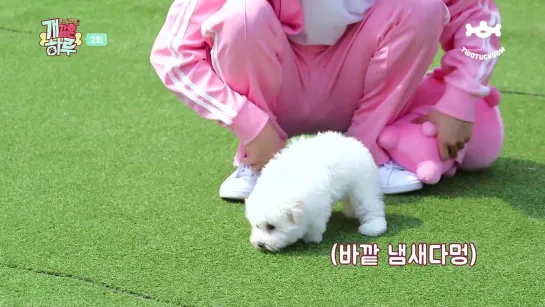 [VK][190711] MONSTA X - Ep.2 @ Monsta X’s Puppy Day