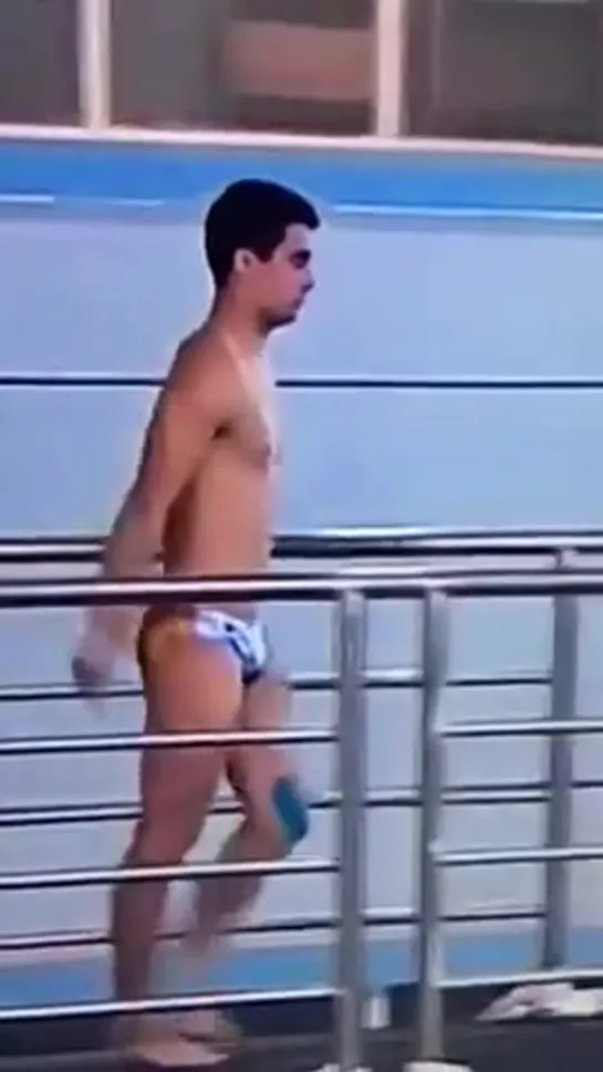 Argentine Diving Bulge