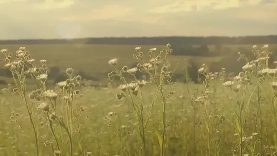 Моя любовь. Красивая песня и клип