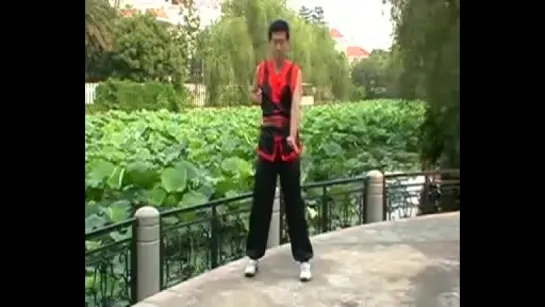 Xiao Niao Tou Wing Chun