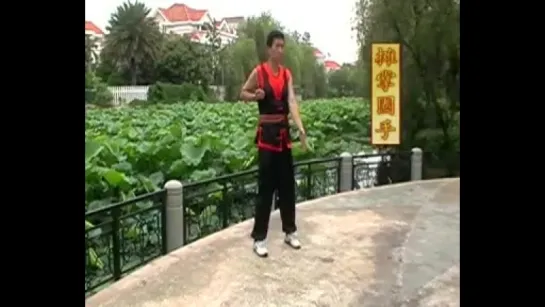 Xun Qiao Wing Chun