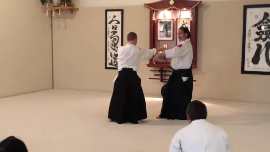 David Goldberg Sensei - Spring Aikido Friendship Seminar 2017