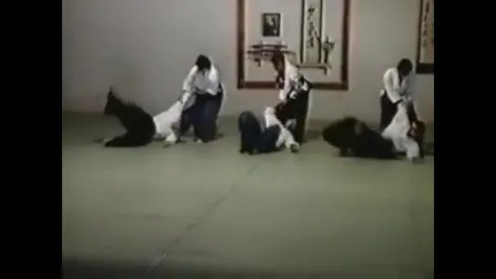 Aikido - Hiroshi Ikeda - Koshi