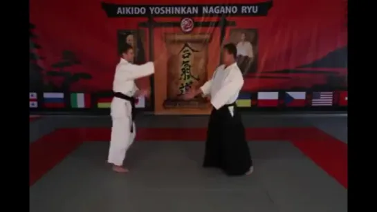 Aikido Yoshinkan Nagano Ryu Training