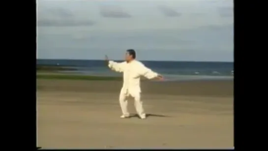 Чэнь Сяован - Чэнь тайцзи-цюань (Chen Xiaowang - Tai Chi Chuan. Chen Style Taijiquan Laojia)