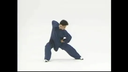 Chen style Taiji (Tai Chi) Competition Form Champion