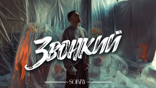 Звонкий – Sorry I клип #vqMusic