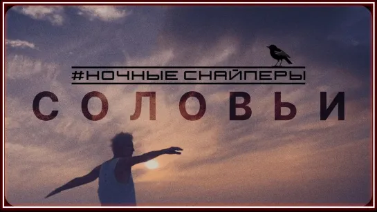 Ночные Снайперы - Соловьи I клип #vqMusic