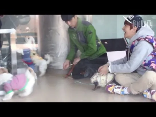 [VIDEO] 140106 Baekhyun @ The Celebrity Photoshoot