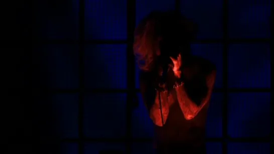 DIR EN GREY - INWARD SCREAM [LIVE: 2010.01.09 UROBOROS AT NIPPON BUDOKAN]