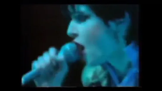 Siouxsie & the Banshees - Hong Kong Garden