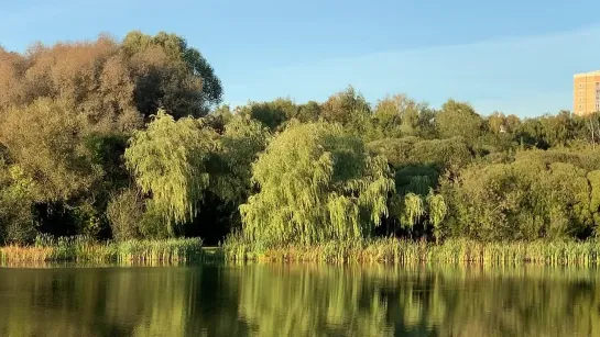 Покровское-Стрешнево. IMG_0032