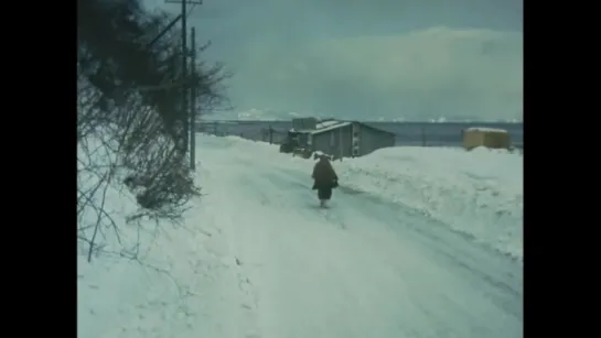 Одинокое путешествие Тикудзана / Chikuzan hitori tabi (1977)