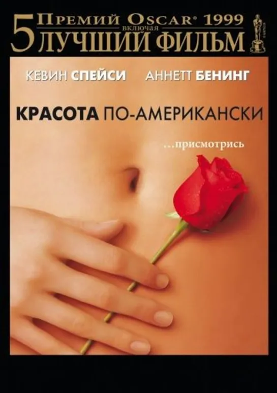 Красота по-американски (1999) - Трансляция