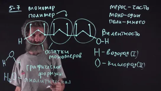 15 Переваривание во вторичной лизосоме - Курс цитологии И.Л. Окштейн школа "Интелектуал"