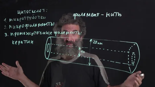 06 Микротрубочки