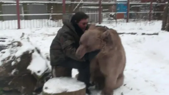 Забавный медведь Стёпа ...