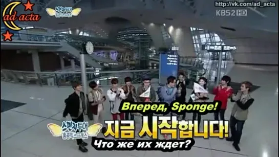 120420 Sponge (SHINee, MBLAQ, FT.Island) часть 1/5 (русс.саб)