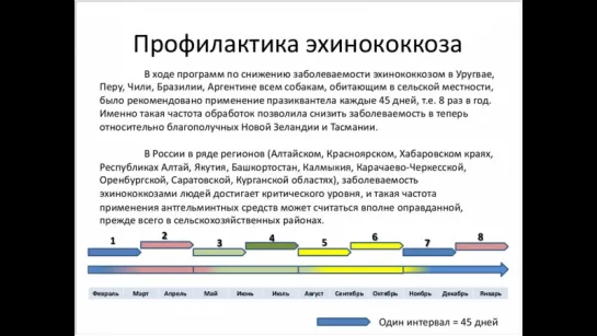 Коняев С.В. Профилактика паразитарных заболеваний кошек и собак