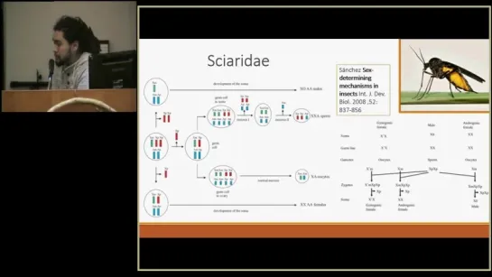 Ильяс Джетыбаев. Определение пола  у насекомых
