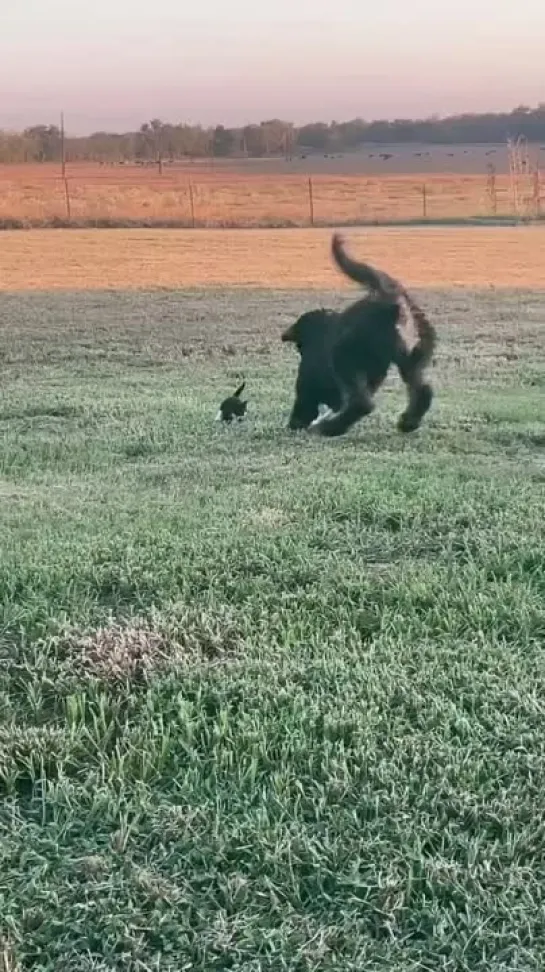 Видео от Счастье