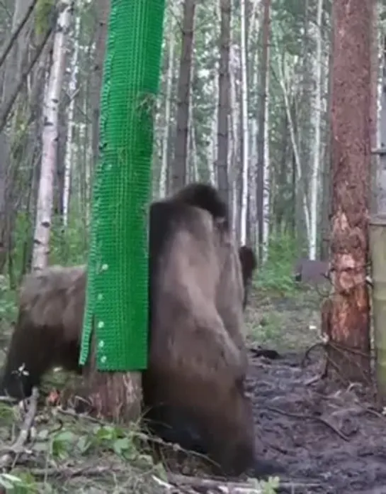 Видео от Счастье