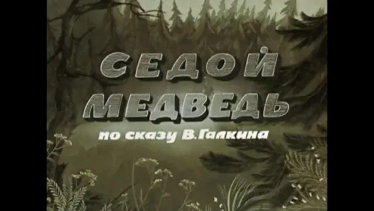 Мультфильм : "Седой медведь ." СССР . 1988 г.