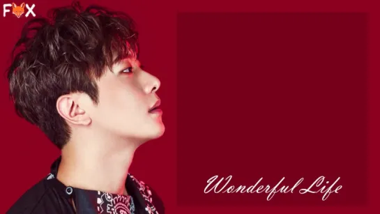 [FSG FOX] FTISLAND - Wonderful Life |рус.саб|