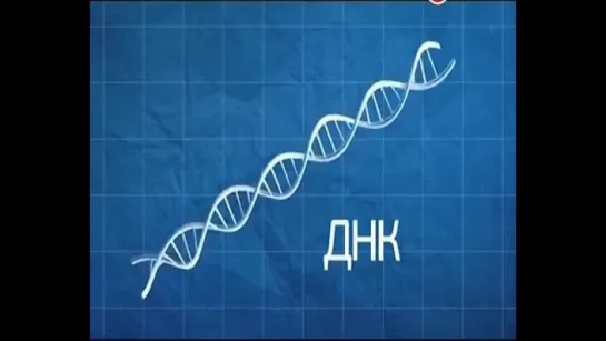 Тайны Генетики. Расшифровка человеческого генома | Научные сенсации.