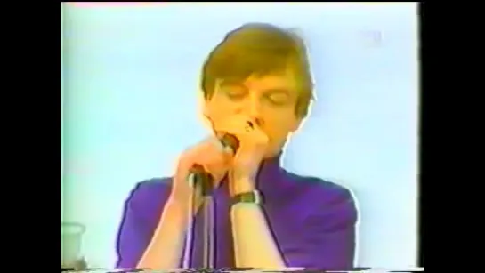 The Fall - Big New Prinz