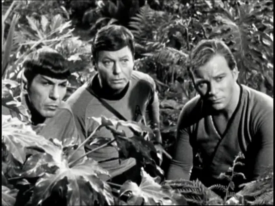 TOS2 Bonus Kirk, Spock  Bones Star Treks Great Trio