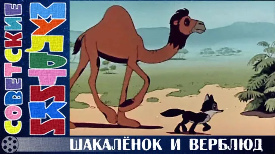 м/ф «Шакалёнок и верблюд» (1956 год)