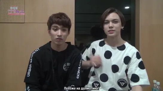 [Рус. Саб] Vernon Self Camera OBS Entertainment News Idol 24 Hours - Seventeen