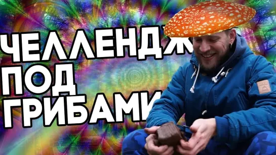 Я всё могу - все выпуски - Грибы! Опасный кулинарный эксперимент! Поход в лес!