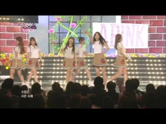 [PERF] A Pink - NONONO (130705 Music Bank 2013 Half-Year Special)