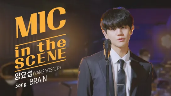 [MV MIC in the SCENE] YANG YOSEOP - BRAIN (Live Band ver.)